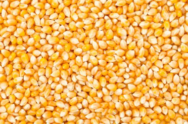 ham patlamış mısır dokusu arkaplanı