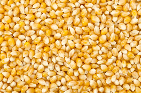 Palomitas Maíz Crudas Textura Fondo Imágenes De Stock Sin Royalties Gratis