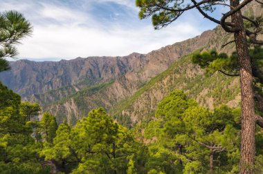 Mirador de la Cumbrecita 'dan görüntü Caldera de Taburiente Ulusal Parkı La Palma, Kanarya Adaları, İspanya.