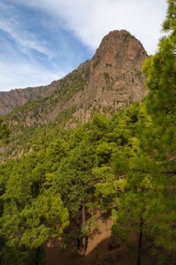 Mirador de la Cumbrecita 'dan görüntü Caldera de Taburiente Ulusal Parkı La Palma, Kanarya Adaları, İspanya.