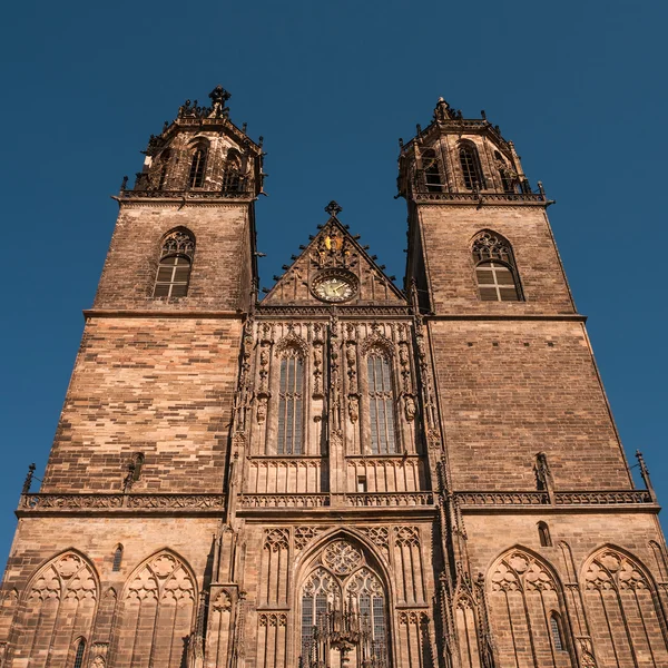 Katedralen i magdeburg på floden elbe, Tyskland — Stockfoto