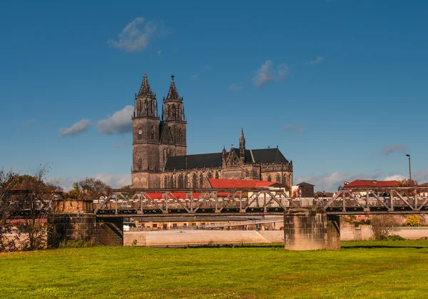 Cathedral of Magdeburg at river Elbe, Germany — Stock Photo, Image