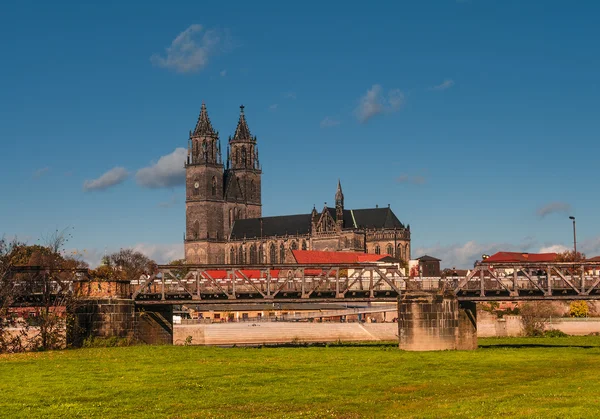 nehir elbe, Almanya, Magdeburg Katedrali
