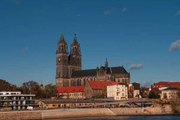 Cathedral of Magdeburg at river Elbe, Germany — Stock Photo, Image