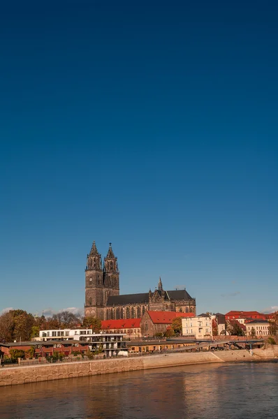 Catedral de Magdeburgo en el río Elba, Alemania —  Fotos de Stock