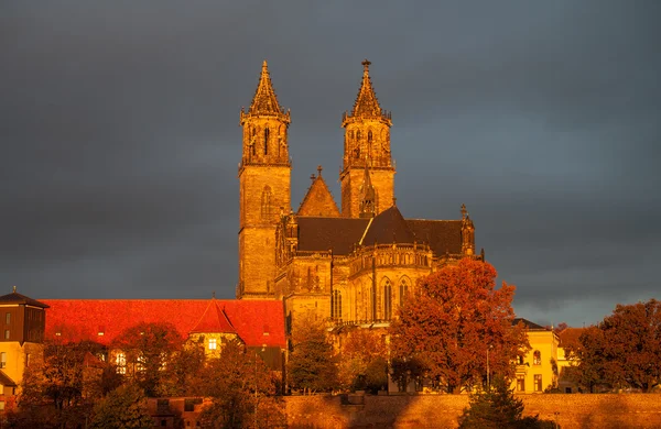 Gouden kathedraal van Maagdenburg en de rivier de elbe bij zonsopgang — Stockfoto