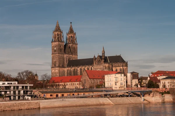 Cattedrale di Magdeburgo all'alba in inverno, Germania — Foto Stock