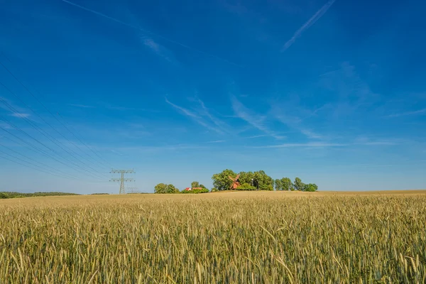 Atardecer de verano en el campo de oro y molino de viento, hermosa naturaleza, Ger — Foto de Stock