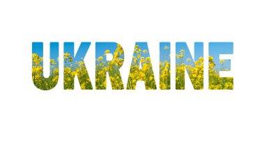 Ukrayna kelimesi beyaz arka planda yazılır ve mavi gökyüzünde Ukrayna ulusal bayrağı ve tecavüz tohumlu sarı çiçekler olarak tasvir edilir. Ukrayna 'daki savaşı kabul et