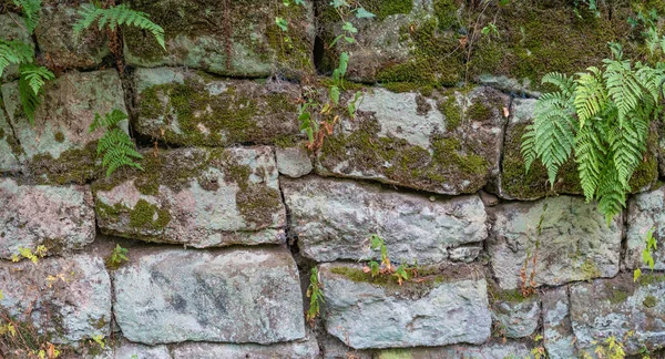 Patrón Ladrillos Antiguos Piedras Edad Media Pared Fortaleza Cubierta Musgo — Foto de Stock
