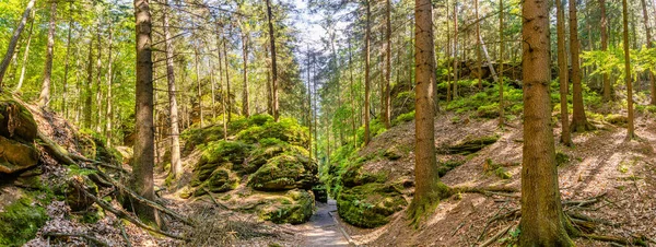 Panoramic View Magical Fairytale Forest Hiking Trail National Park Saxon — Stok fotoğraf