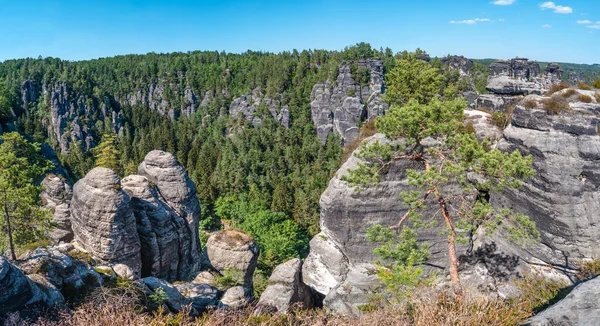 Panoramic Monumental Bastei Sandstone Pillars Rock Formation Stacks Surrounded Ancient — Foto Stock