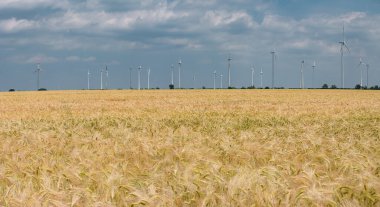 Güneşli bir günde ve dramatik yağmurlu bir gökyüzünde Almanya 'da yeşil enerji üretmek için rüzgar türbinleriyle güzel buğday tarlalarının panoramik manzarası
