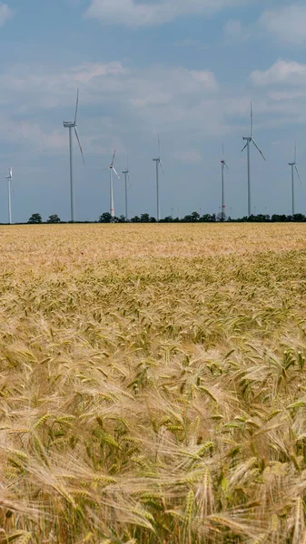 Cover page with beautiful wheat field farm landscape with wind turbines to produce green energy in Germany, Summer, on a sunny day and dramatic rainy sky