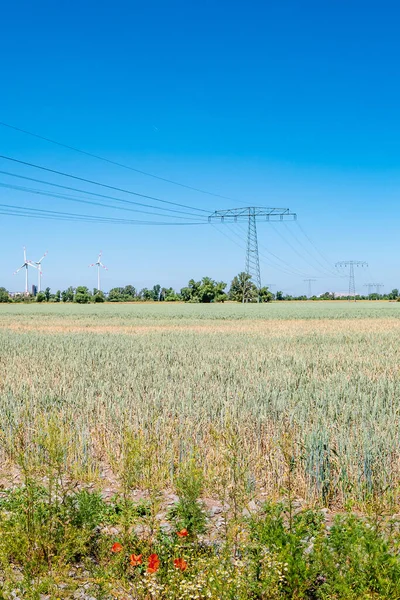 Beautiful farm landscape with meadow red and yellow flowers, wheat field, wind turbines to produce green energy and high voltage power line towers in Germany, Summer, at sunny day and blue sky