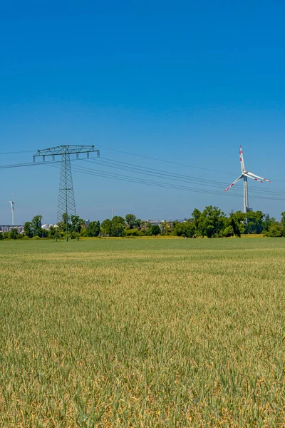 Beautiful wheat farm landscape with wind turbines to produce green energy and high voltage power line towers in Germany, Summer, on a sunny day and blue sky