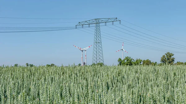 Beautiful wheat farm landscape with wind turbines to produce green energy and high voltage power line towers in Germany, Summer, on a sunny day and blue sky
