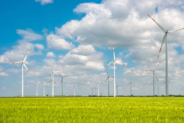 View Beautiful Farm Landscape Green Wheat Field Wind Turbines Produce — 图库照片