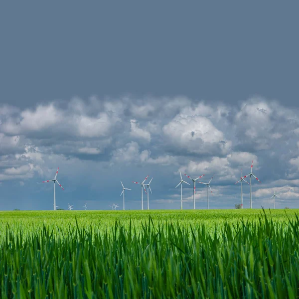 Panoramic View Beautiful Farm Landscape Green Wheat Field Wind Turbines — 图库照片
