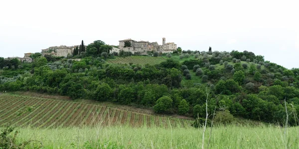 Village Castiglione Dell Abate Province Siena Tuscany Italy — Stock Photo, Image