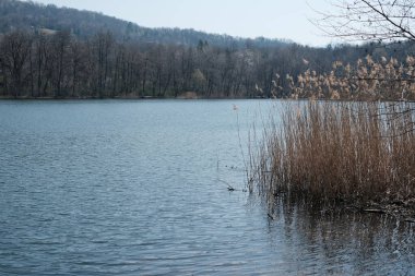 Ticino bölgesindeki Origlio Gölü, İsviçre.