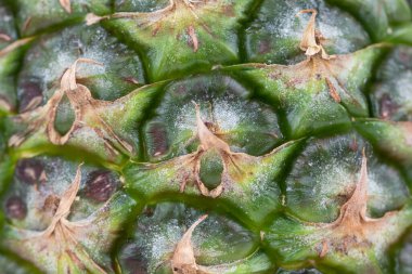 ananas derisi - arkaplan, doku