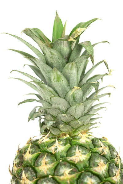 Top Pineapple Green Leaves — Stock Photo, Image