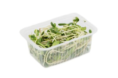 Taze yeşil ayçiçeği filizleri 