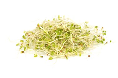 Taze taze yonca filizleri.