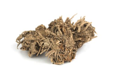 Doğal Valerian ampulü (kök) - Valeriana officinalis