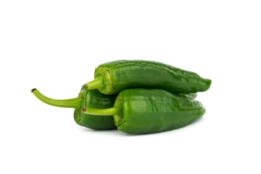 Genç yeşil sıcak Padron biberi