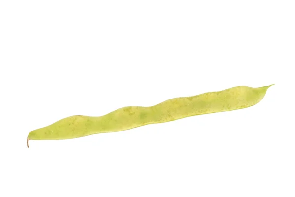 Young Fresh Yellow Green Bean — Stock Photo, Image