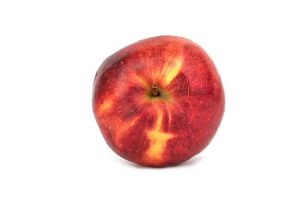 Одне Червоне Солодке Лігольське Яблуко — стокове фото