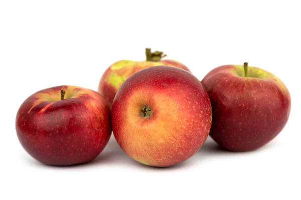Den Söta Lobo Äpple Frukt — Stockfoto