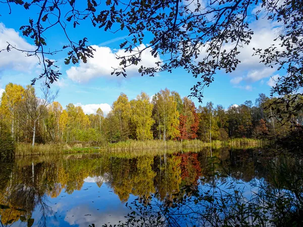 Wood Autumn Colors Royalty Free Stock Images