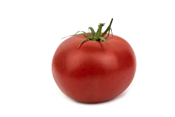 Die Frische Rote Saftige Tomate — Stockfoto