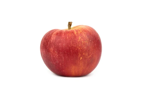 Det Läckra Söta Äpplet — Stockfoto