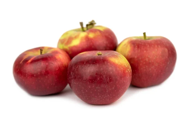 Вкусное Яблоко — стоковое фото