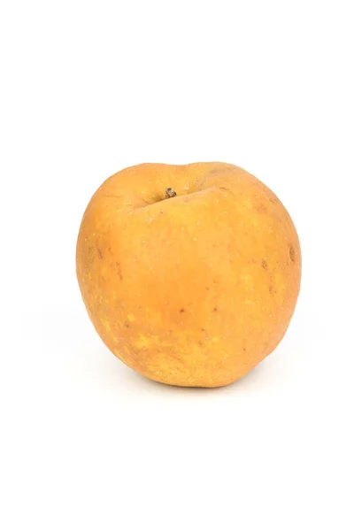 Deliciosa Manzana Dulce — Foto de Stock