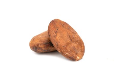 Çikolatalı çerez (Theobroma kakao))