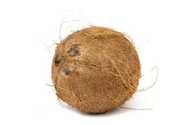 Genç ve taze hindistan cevizi.