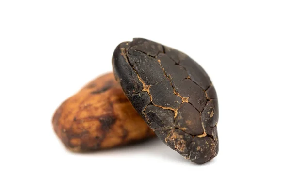 Cały Orzech Kakaowy Czekoladowa Przekąska Theobroma Cacao — Zdjęcie stockowe