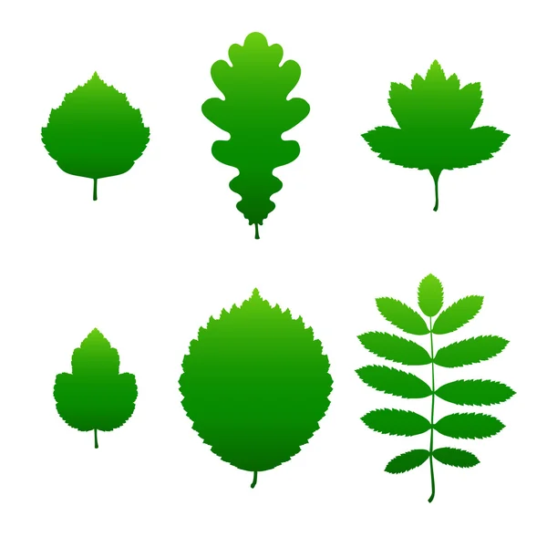 Zelená listová siluety — Stockový vektor