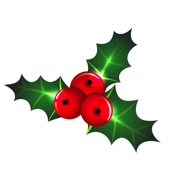 Christmas mistletoe icon — Stock Vector