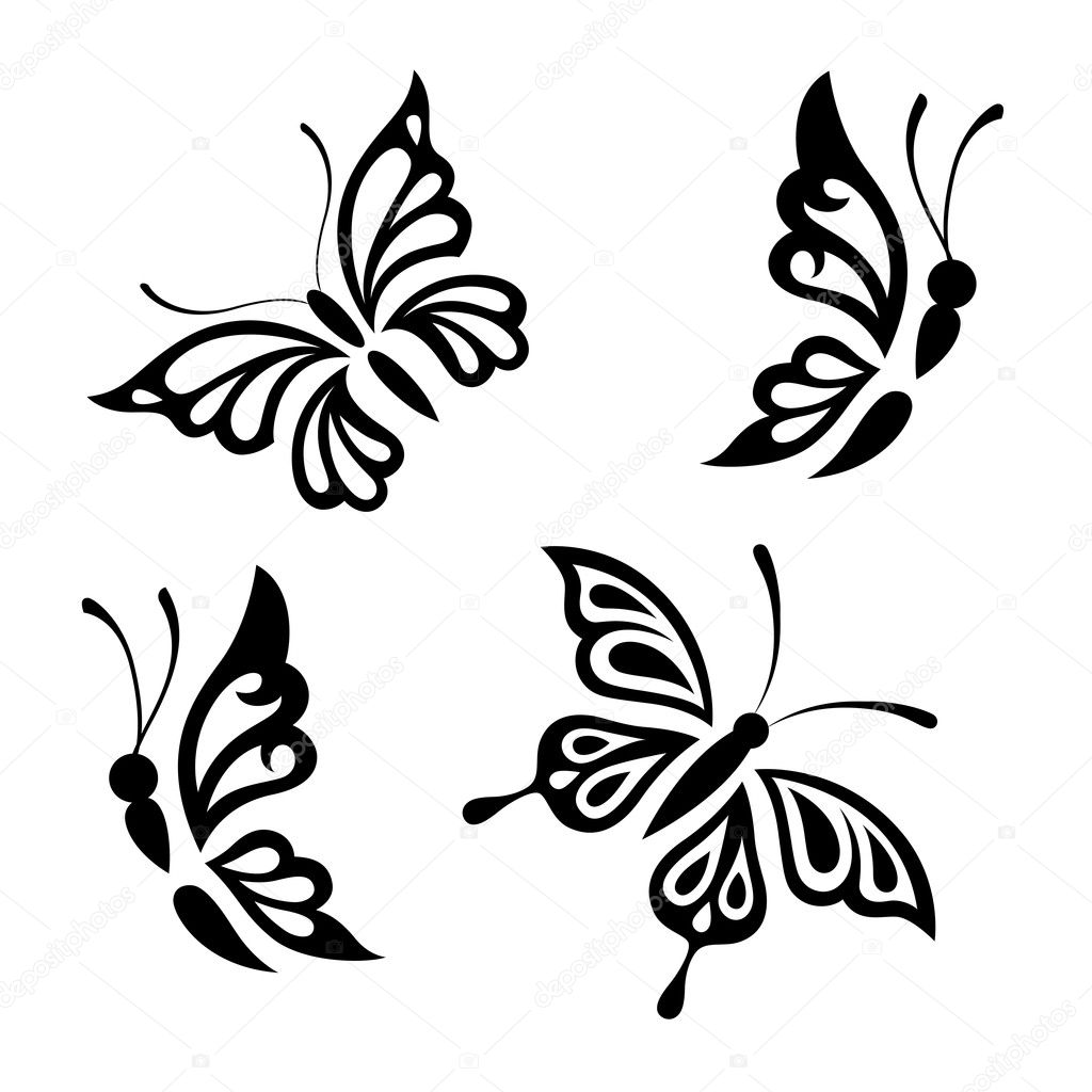 Collection black and white butterflies Stock Vector Image by ©angle ...