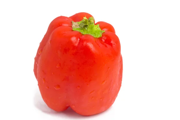 Sweet pepper — Stock Photo, Image