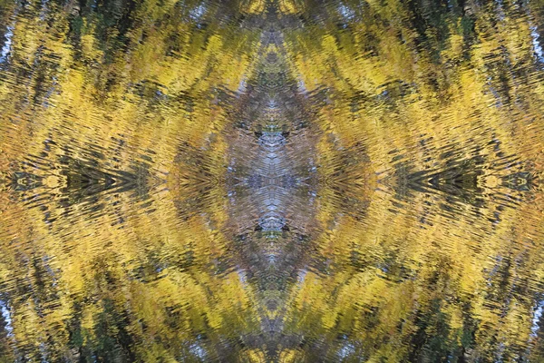 Podzimní abstraktní tapeta — Stock fotografie