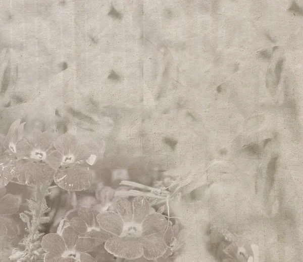 Textura de papel vintage con flores pálidas — Foto de Stock