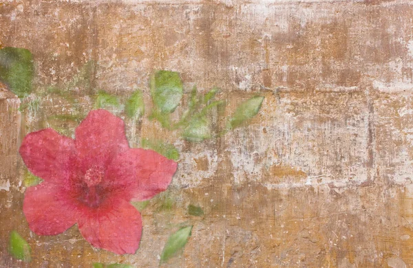 Tapeta z bellflower — Zdjęcie stockowe