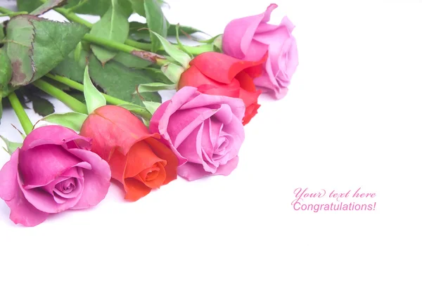 Roses postcard background — Stock Photo, Image